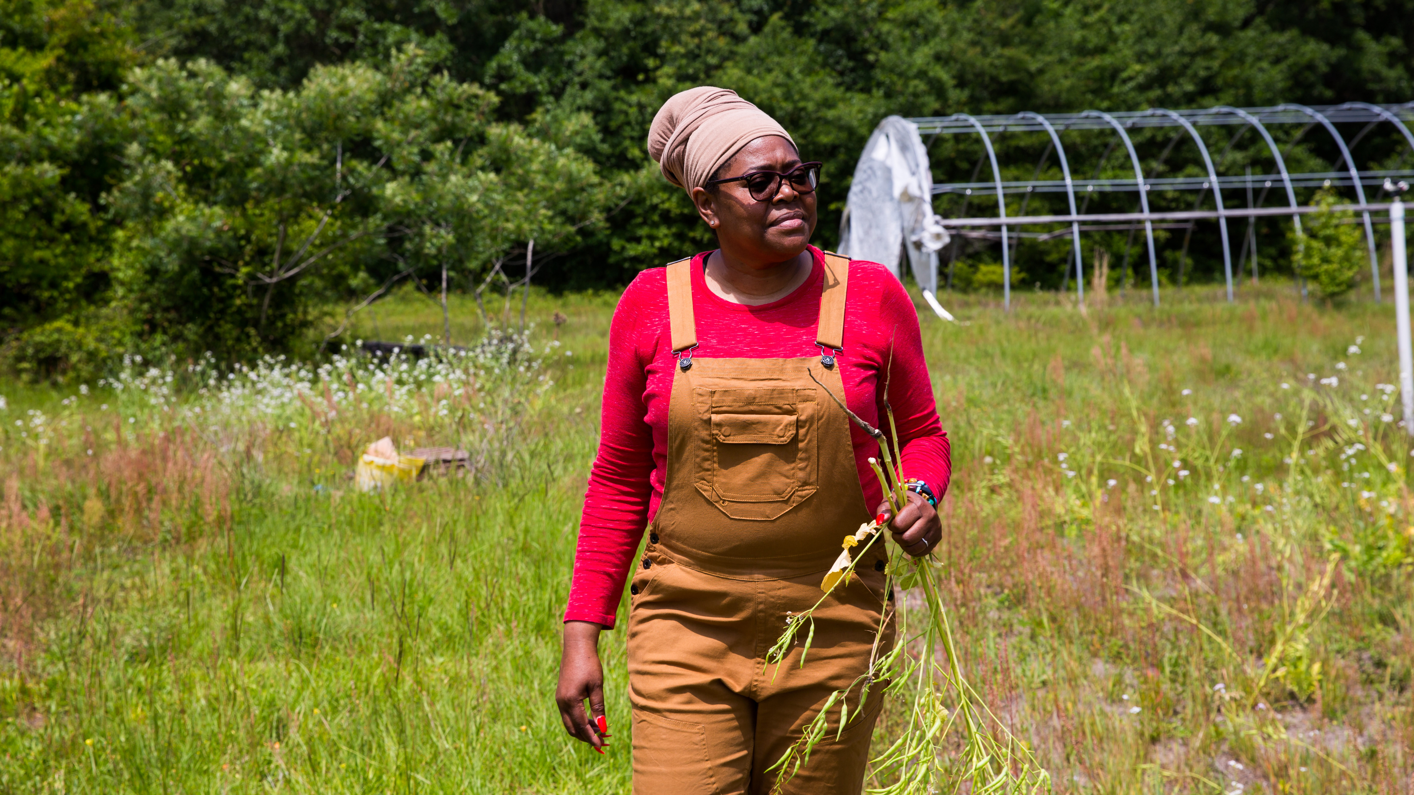 The program will also be available for streaming online.